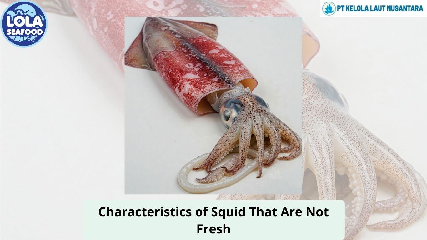 Characteristics of Squid That Are Not Fresh